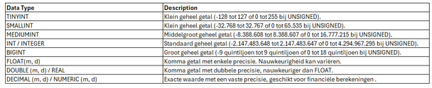 soorten data types sql